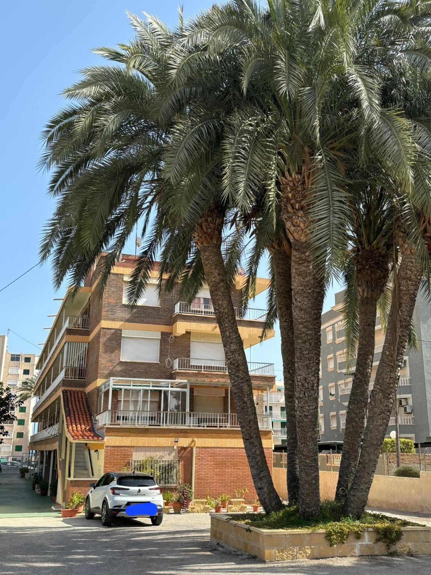 Apartamentos Congo El Campello Exterior foto